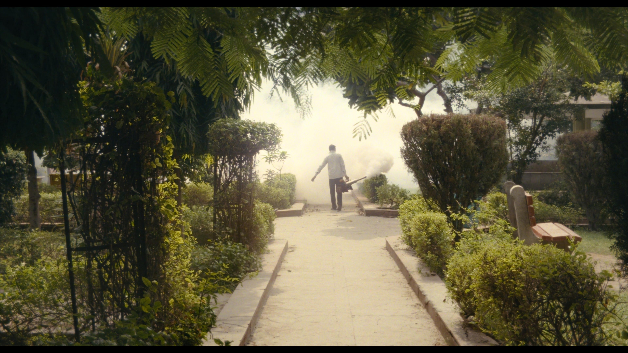 Mies näkyy kuvassa kaukaa. Hän on selin ja kävelee puutarhassa polulla, jota ympäröi puutarhan kasvit.