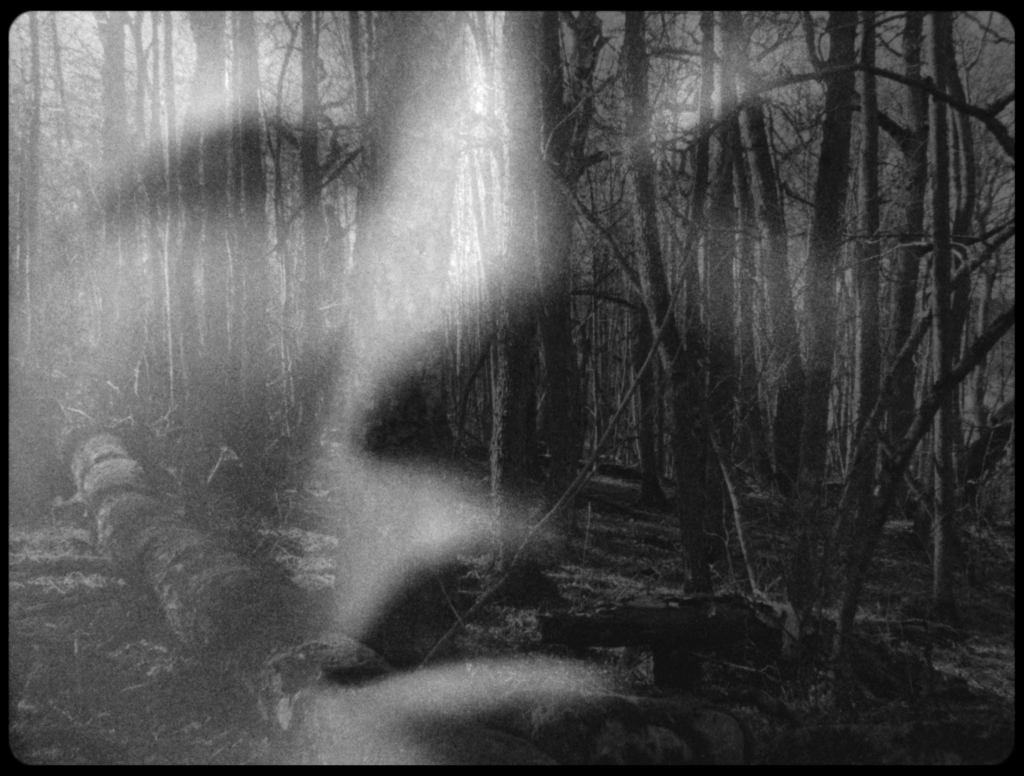 Mustavalkoisessa kuvassa on läpikuultava maski, jonka takana näkyy metsää ja puita.
